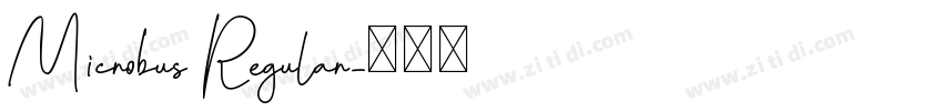 Microbus Regular字体转换